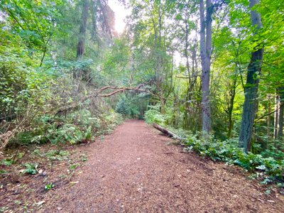 Heading down the start of the trail