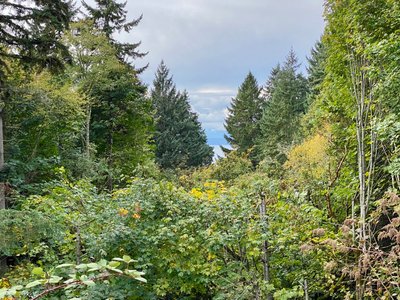 Can barely make out the Puget Sound