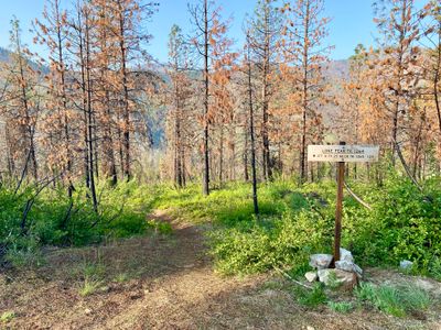 Lone Peak Trailhead