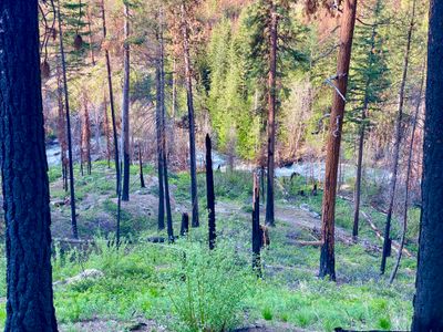 Looking down at the creek