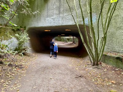 Underpass on the Discovery Park Loop Trail