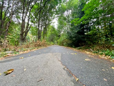 Our wrong turn down an unamed road in Discovery Park