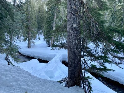Log crossing of Commonwealth Creek
