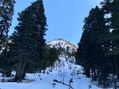Looking up at Red Mountain