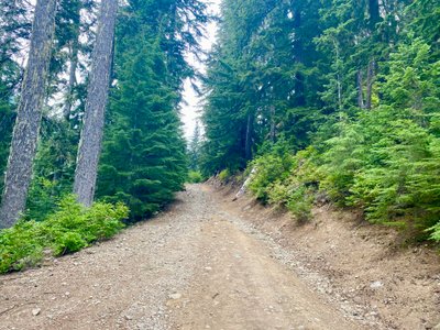 Road up to trailhead