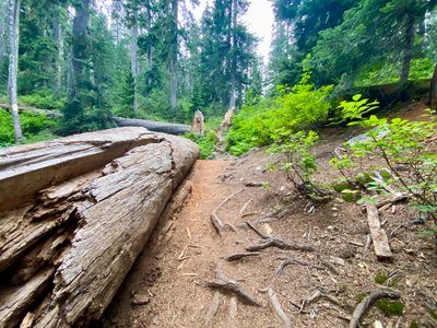 Mirror Lake Trail