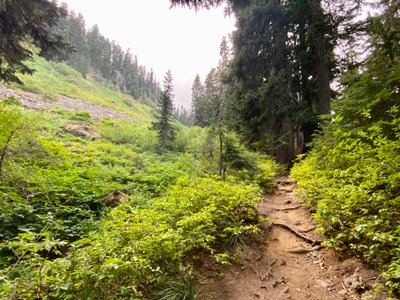 Ascending the Mirror Lake Trail
