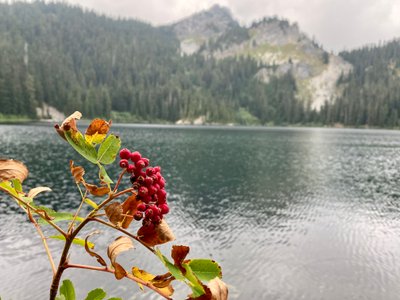 Mirror Lake