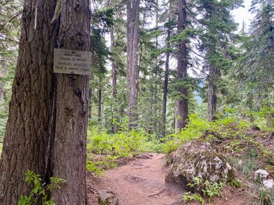 Junction of the Pacific Crest Trail and Mirror Lake Trail