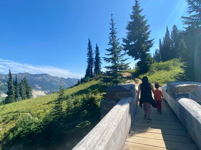 Wooden bridge over Chinook Pass on Highway 410