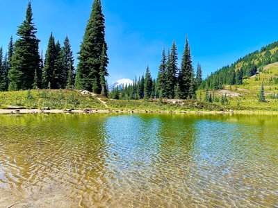 Obscured views of Mount Rainier at our lunch stop