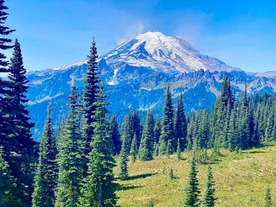 Mount Rainier in all its majesty