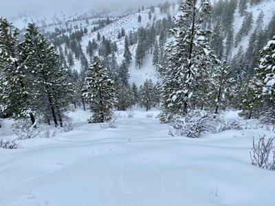 Looking down the run