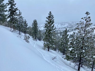 Skin track up