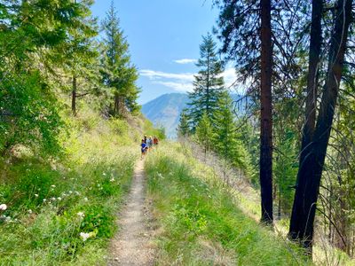 North Fork 25 Mile Creek trail