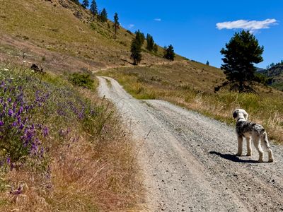 Walking up the road to the trail