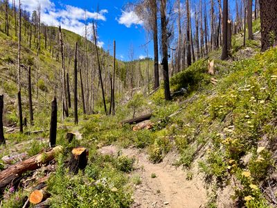 Trail ahead of us