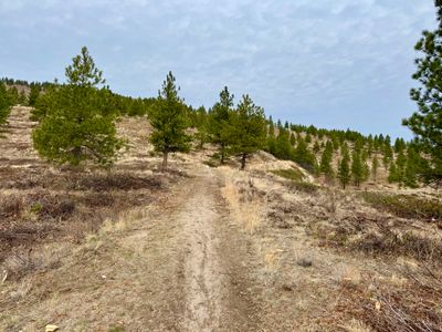 Start of the Outback Trail