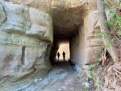 Pigeon Valley trail