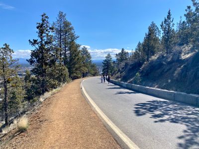 Summit Road trail
