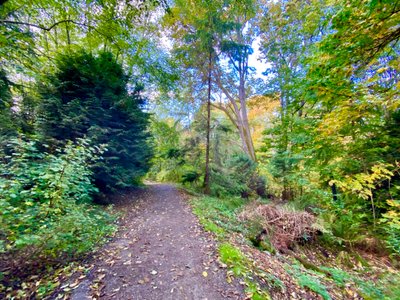 The start of Pipers Creek Trail