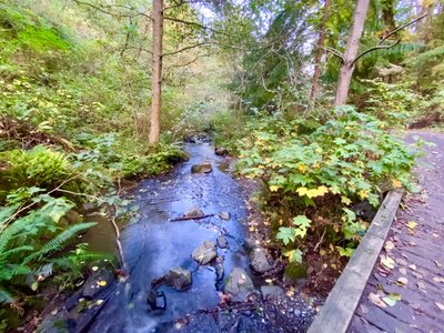 One of the many bridges crossing Pipers Creek