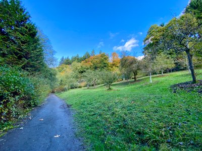 Piper's Orchard in Carkeek Park