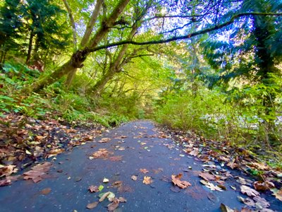 Pavement near the water treatment plant