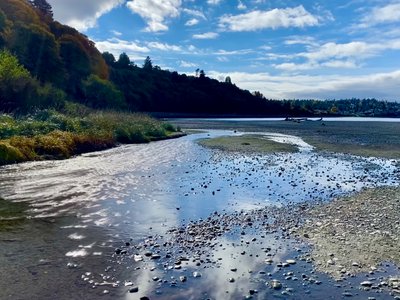 Pipers Creek draining into the Puget Sound