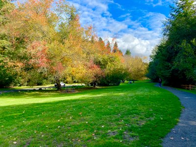 Fall color on Pipers Creek Trail