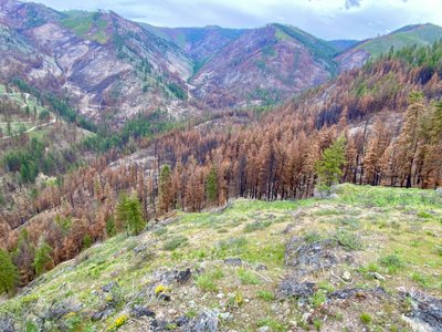 Views from the Pot Peak Trail