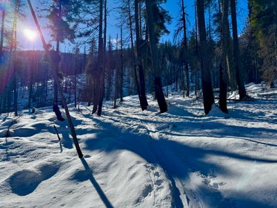 Start of the skin track