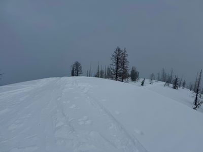 No views from the top