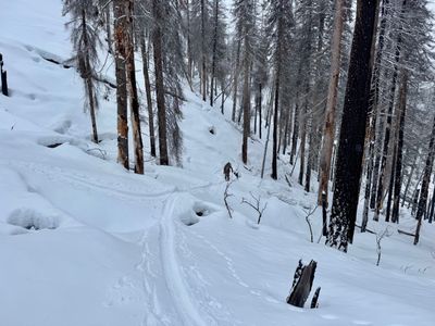 Tim coming up the skin track