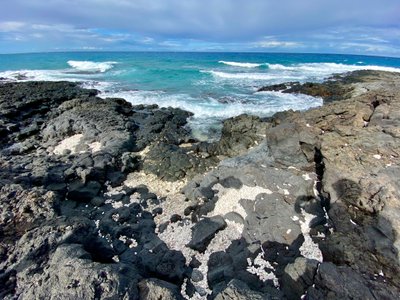 Coral and lava rock