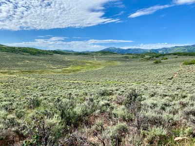 View from the Rambler Trail