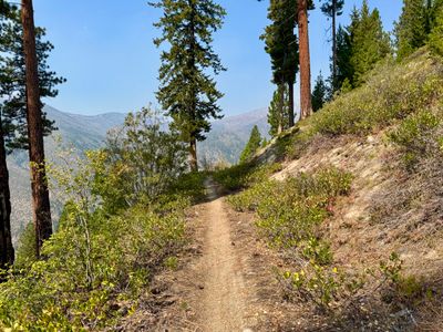 Beginning section of the trail