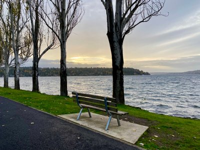 Bench along Shore Loop Road