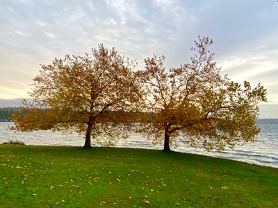 Nice view of Lake Washington