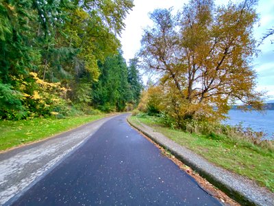 Shore Loop Road