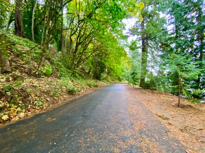 Shore Loop Road