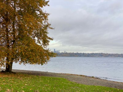 Lake Washington and the Seattle skyline