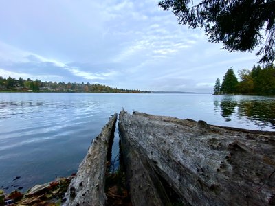 Andrews Bay