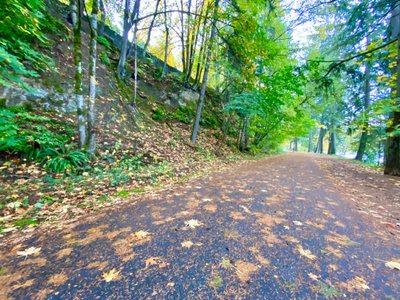 Final stretch of the trail