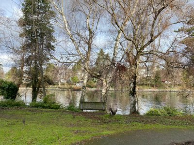 Grassy area with benches along the Ship Canal
