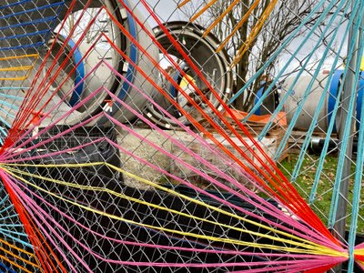 Yarn weavnings on a construction fence