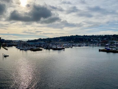 Fisherman's terminal from the Ballard Bridge