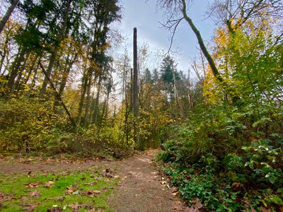 Start of the Boeing Creek Loop Trail