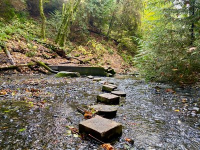 Boeing Creek Crossing