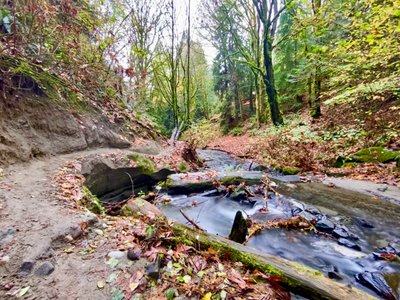 Washed out section of the Hidden Lake Loop Trail